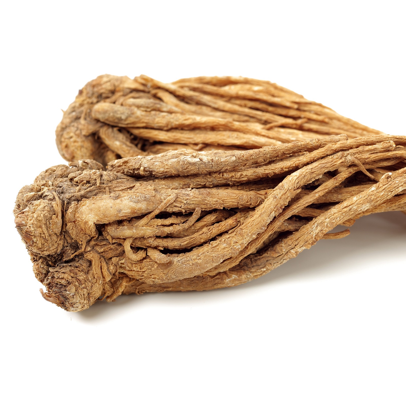 Angelica Root: Nature’s Wellness Herb and How to Use It