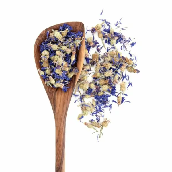 Cornflower Blue Whole Stock photo