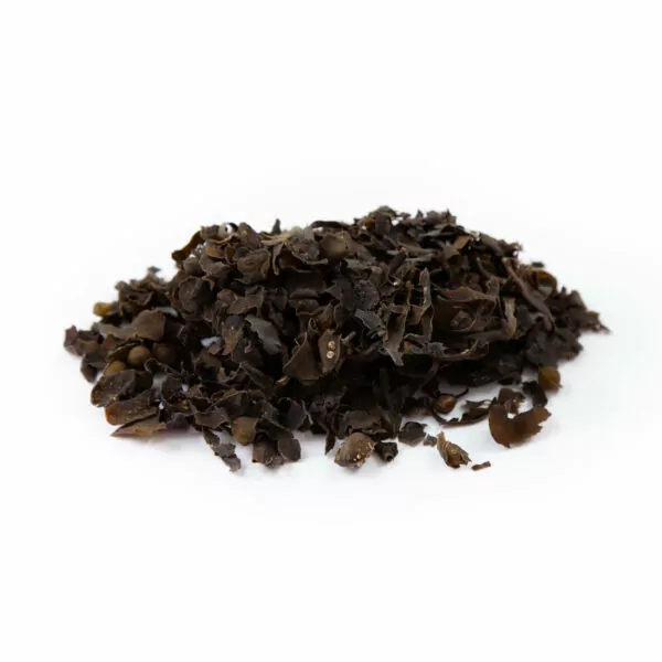 bladderwrack cut loose