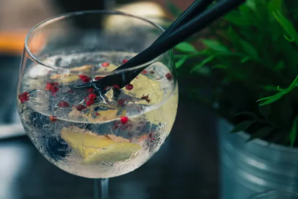 Gin Glass