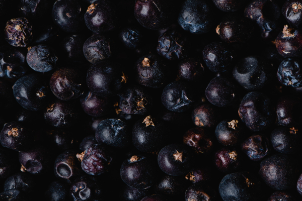 What To Do With Juniper Berries Besides Making Gin