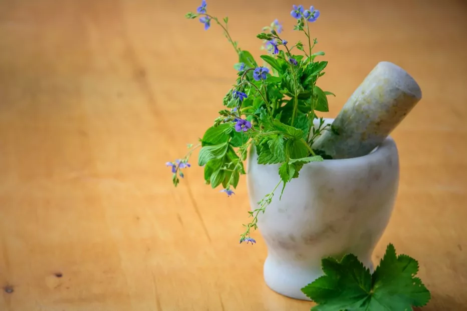 herbs