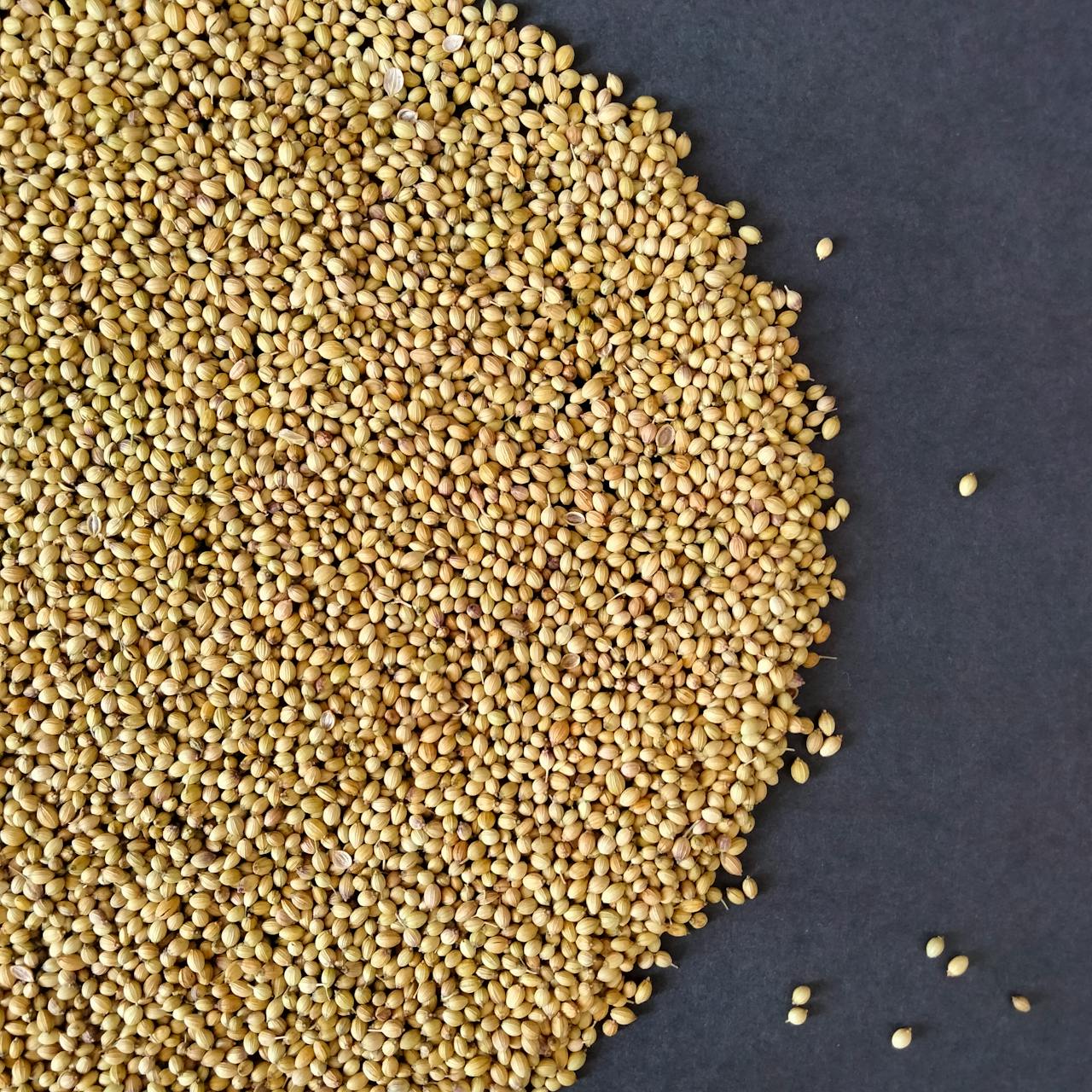 Beyond the Herb Rack: Exploring 5 Uses for Coriander Seeds
